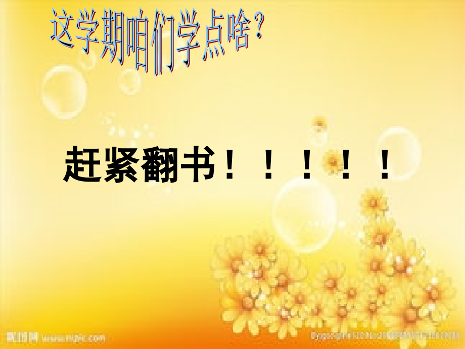 人教版八年级美术上册造型的表现力.ppt_第2页