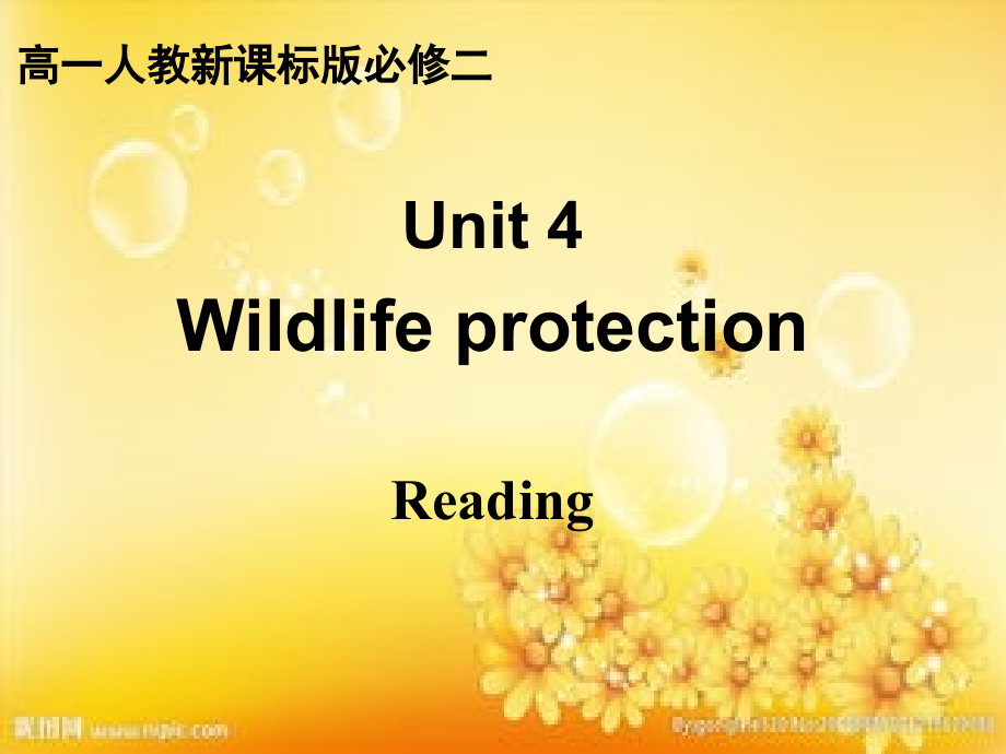 必修二unit4Reading.ppt_第2页