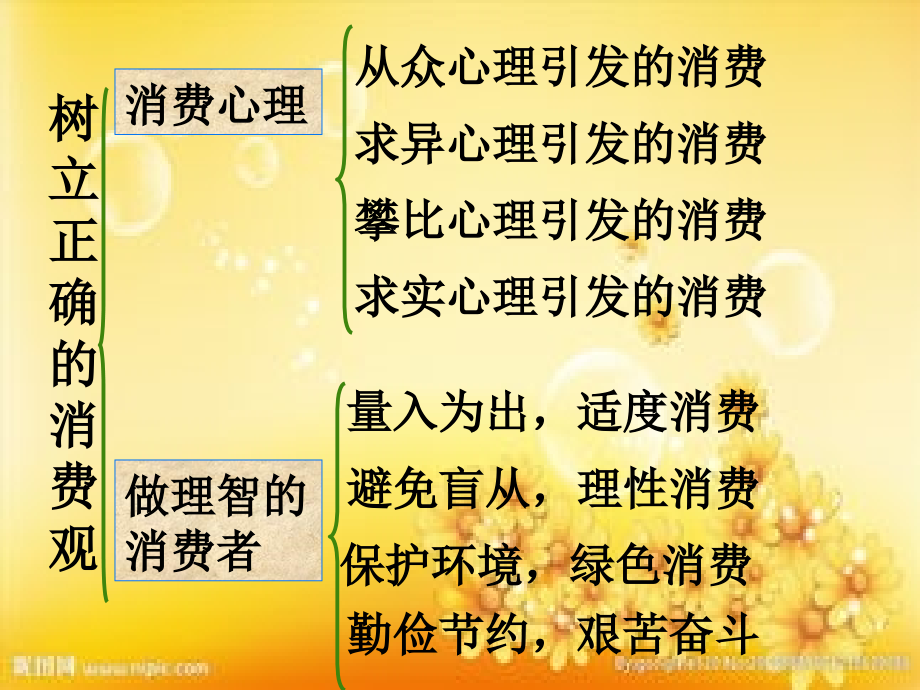 高一政治经济生活(中学课件201908).ppt_第2页