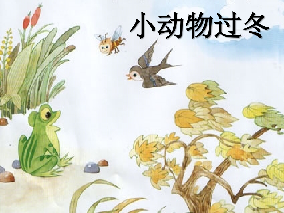 中班科学小动物过冬-PPT.ppt_第1页