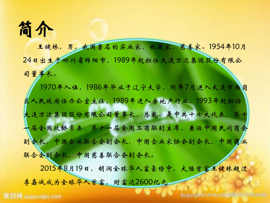 王健林之传奇人生.ppt_第2页