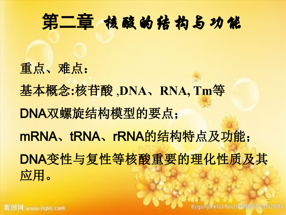 核酸的结构与功能-PPT.ppt_第1页