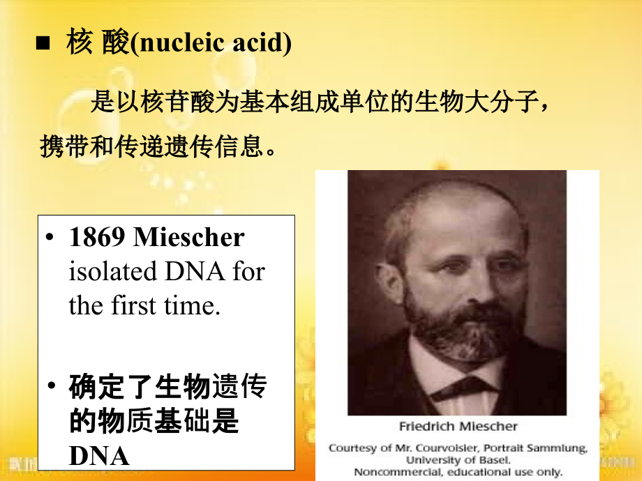 核酸的结构与功能-PPT.ppt_第2页