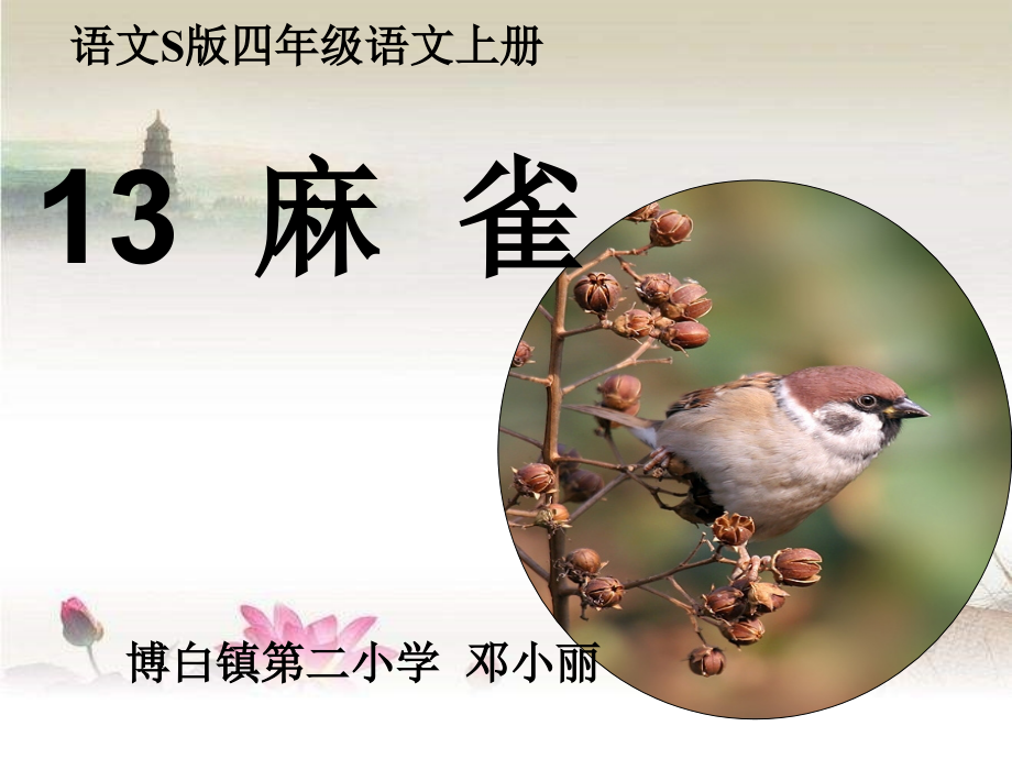 四年级上册《麻雀》ppt.ppt_第1页