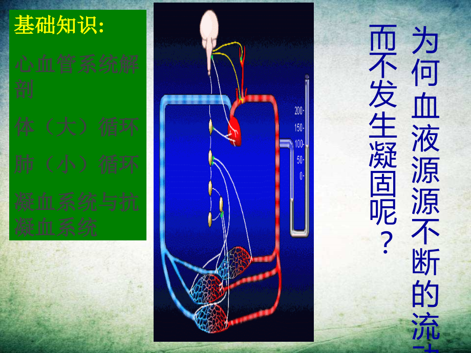中职病理学局部血液循环障碍-.ppt_第2页