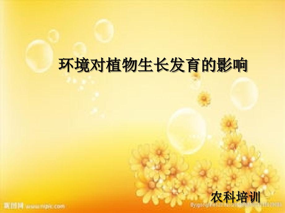 环境对植物的影响PPT.ppt_第1页