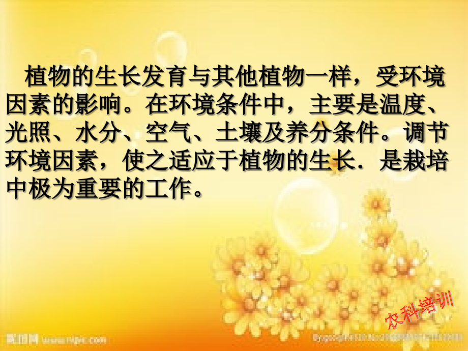 环境对植物的影响PPT.ppt_第2页