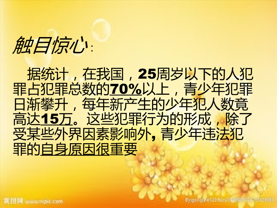 小学生法制教育ppt课件.ppt_第2页