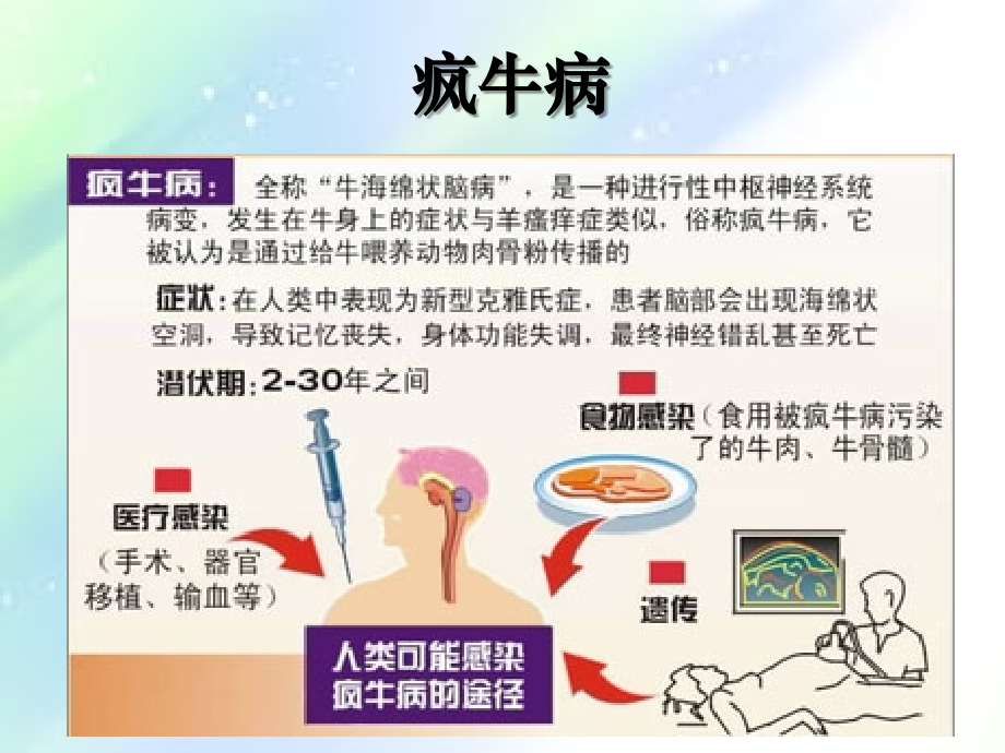 生物入侵与生物安全.ppt_第2页