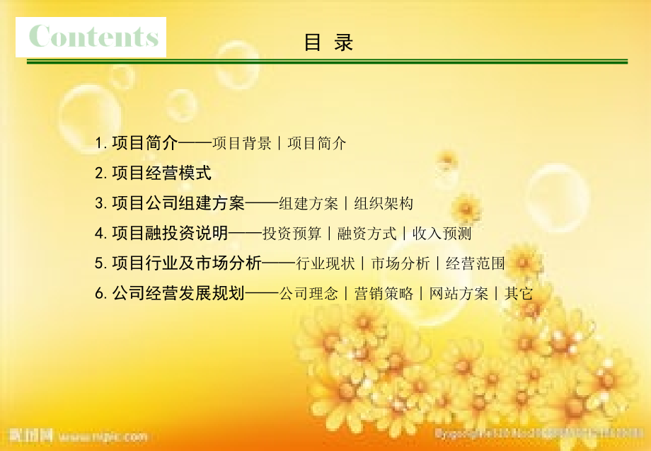 项目商业计划书.ppt_第2页
