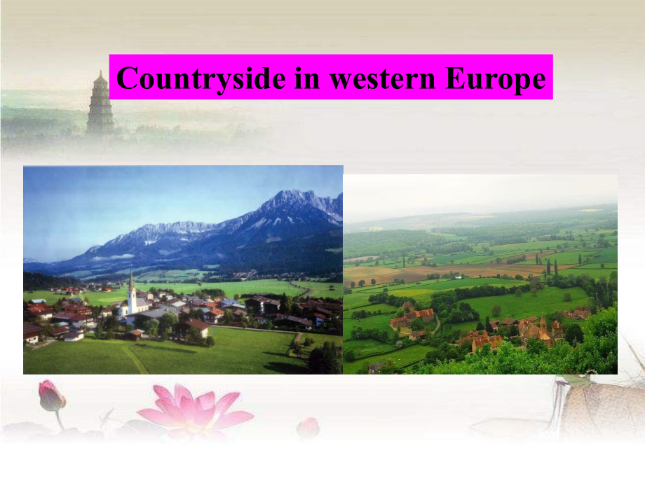 外研版必修一module4Cultural-cornerppt.ppt_第2页