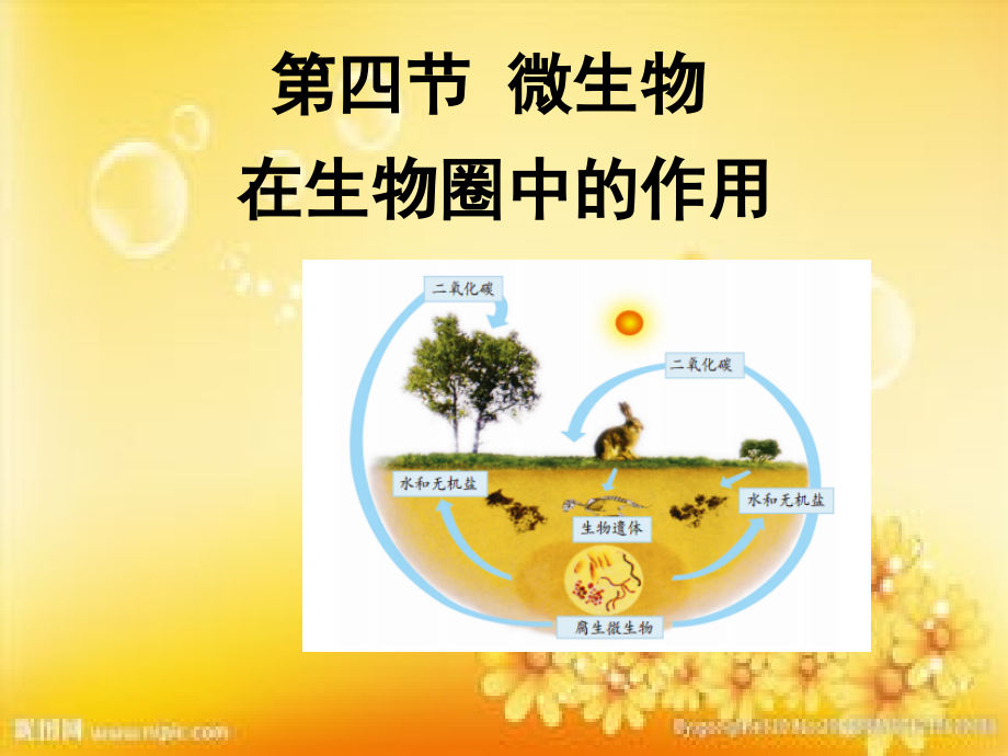 济南版第四节微生物在生物圈中的作用.ppt_第1页