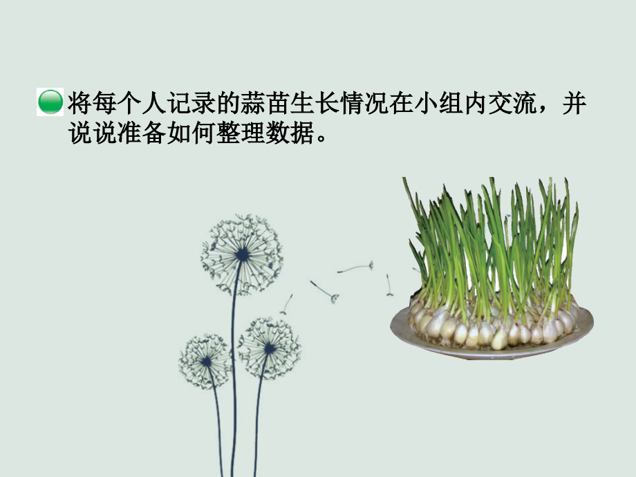 四年级数学-栽蒜苗.ppt_第2页