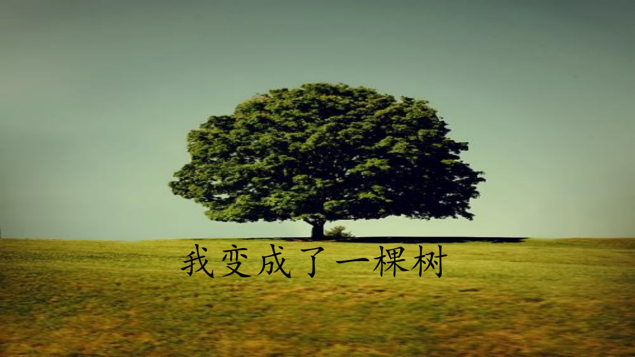 我变成了一棵树.pptx_第1页