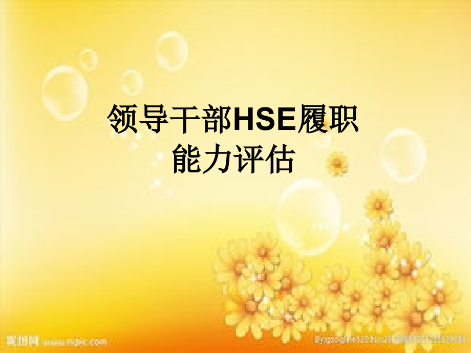 HSE履职能力评估培训课件PPT.ppt_第2页
