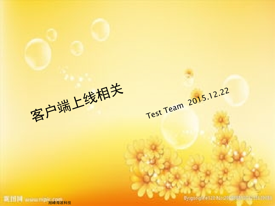 测试述职报告.ppt_第1页