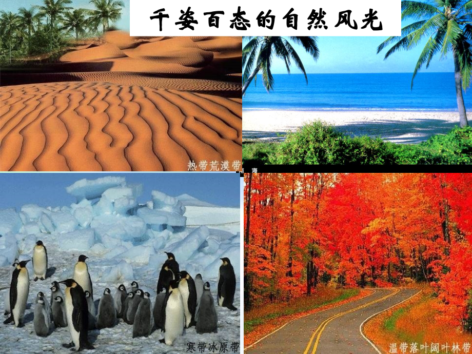 让我们走进地理.ppt_第2页