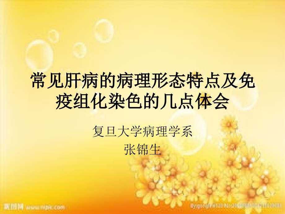 肝病的病理形态特点及免疫组化染色体会.ppt_第1页