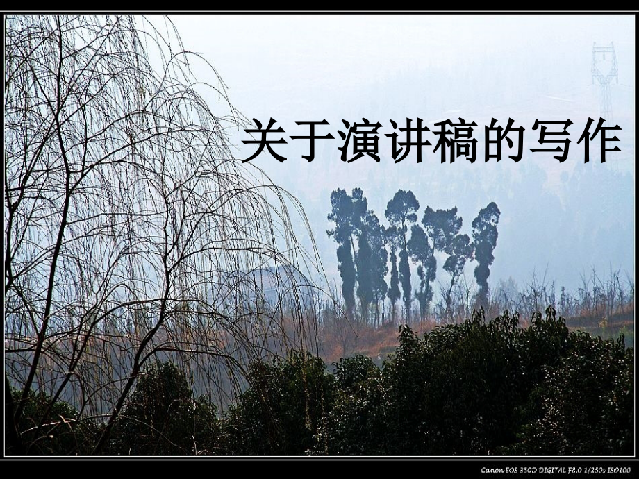 高考语文复习-关于演讲稿的写作.ppt_第1页