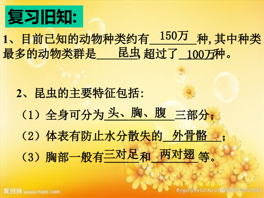 《昆虫的生殖和发育》课件(共41张PPT).ppt_第2页