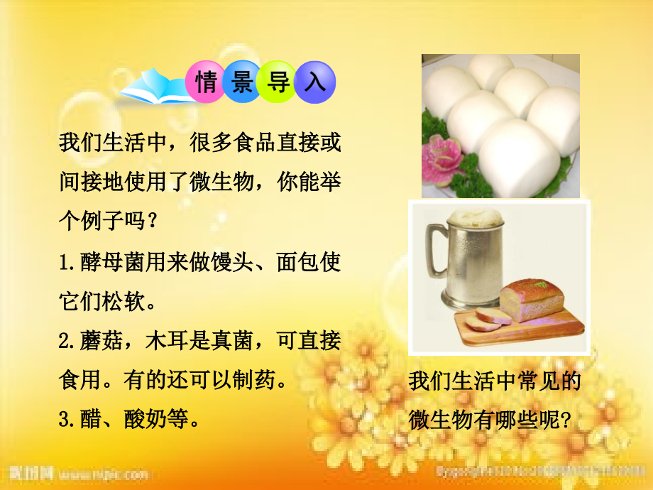 北师大版八年级生物上册18-PPT.2微生物与人类的关系.ppt_第2页