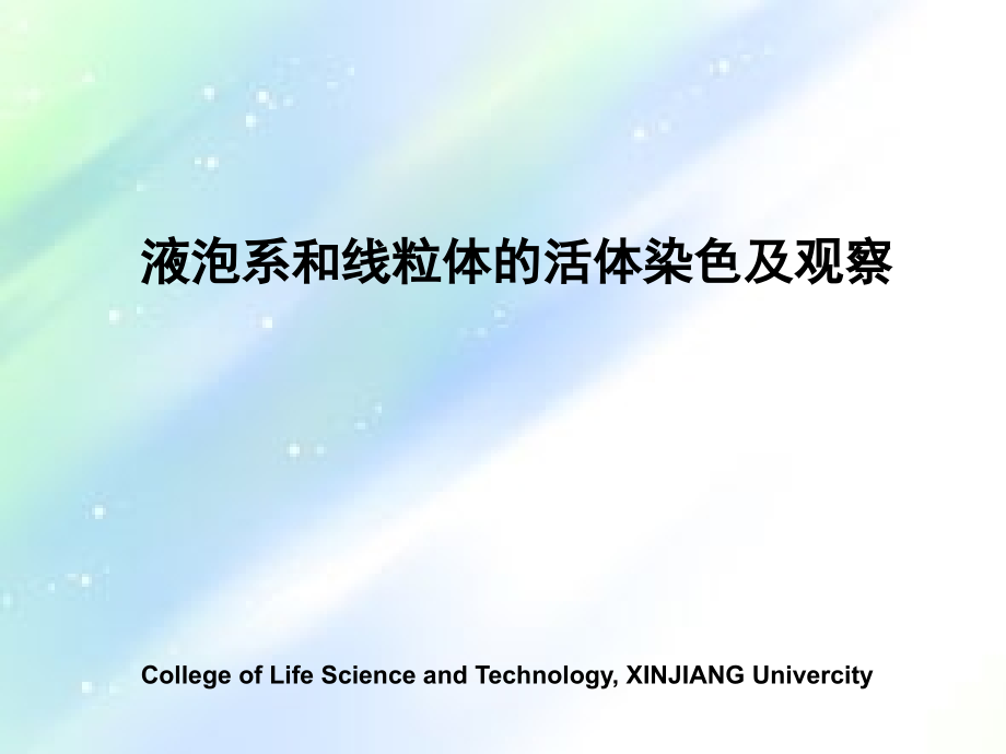 液泡系和线粒体的活体染色及观察.ppt_第1页