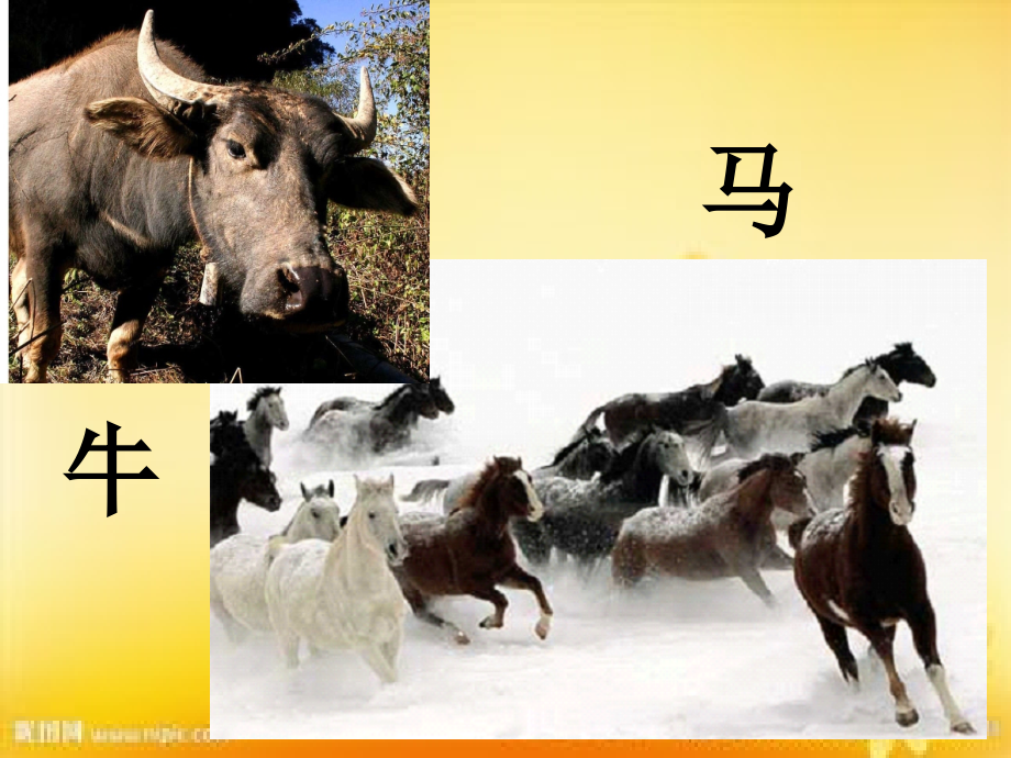 苏教版初一美术上册《耕牛战马》.ppt_第1页