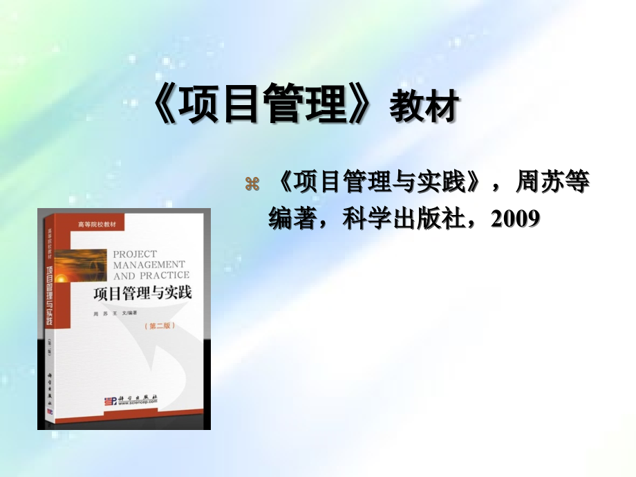 系统集成与项目管理.ppt_第2页