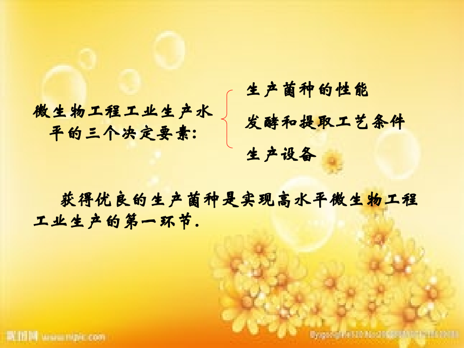 第二章-工业微生物产生菌的分离筛选PPT.ppt_第1页