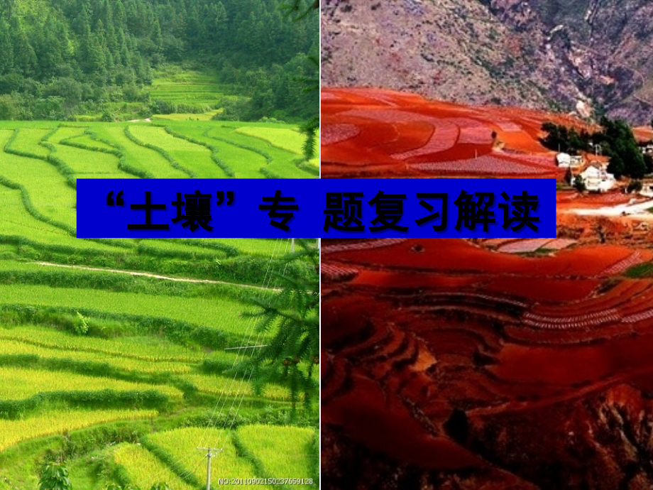 高三复习地理“土壤”专-题复习解读.ppt_第1页