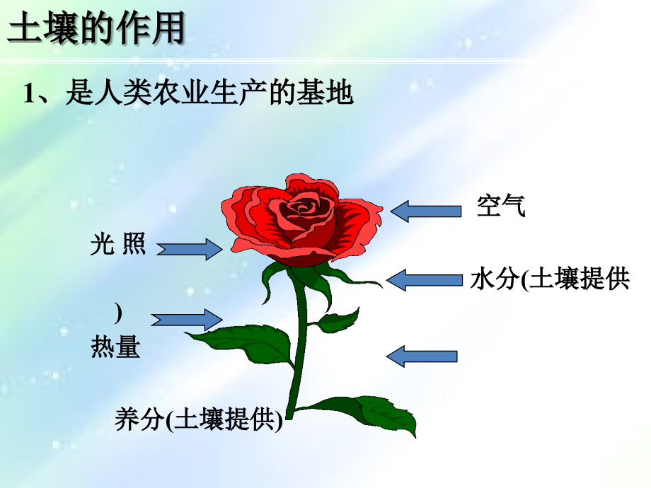 高三复习地理“土壤”专-题复习解读.ppt_第2页