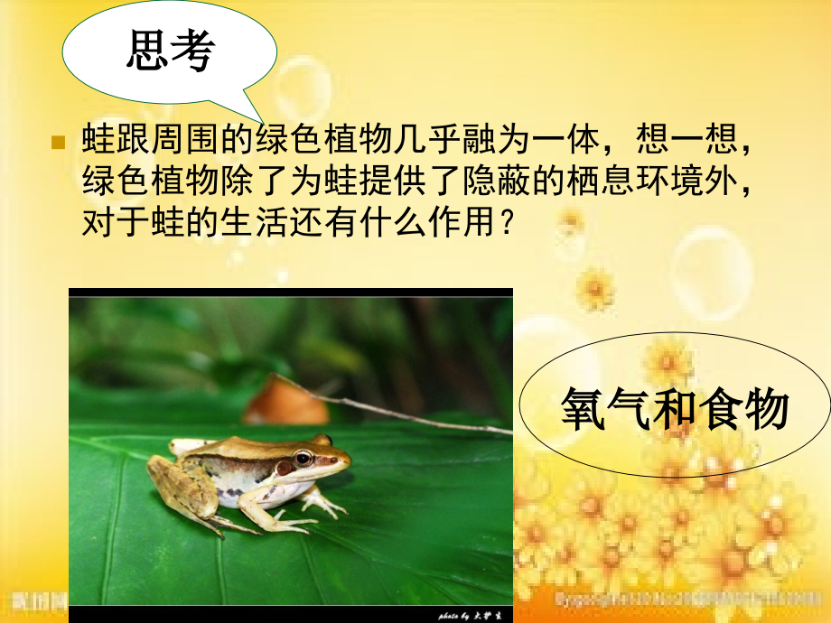 第四章-绿色植物是生物圈中有机物的制造者.ppt_第1页