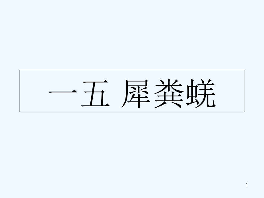 犀粪蜣-PPT课件.ppt_第1页