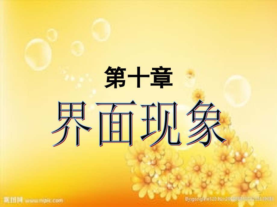 物理化学-第十章.ppt_第1页