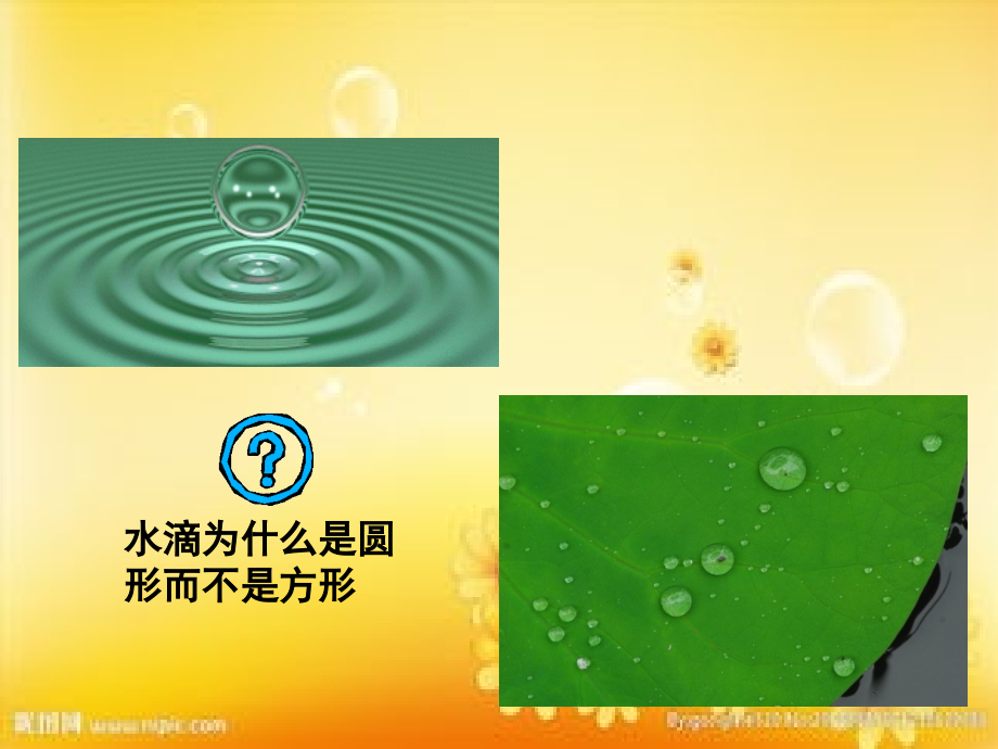 物理化学-第十章.ppt_第2页