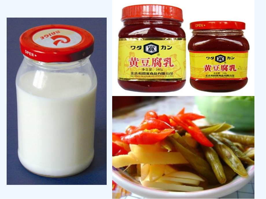 第一节发酵食品的制作.pptx_第2页