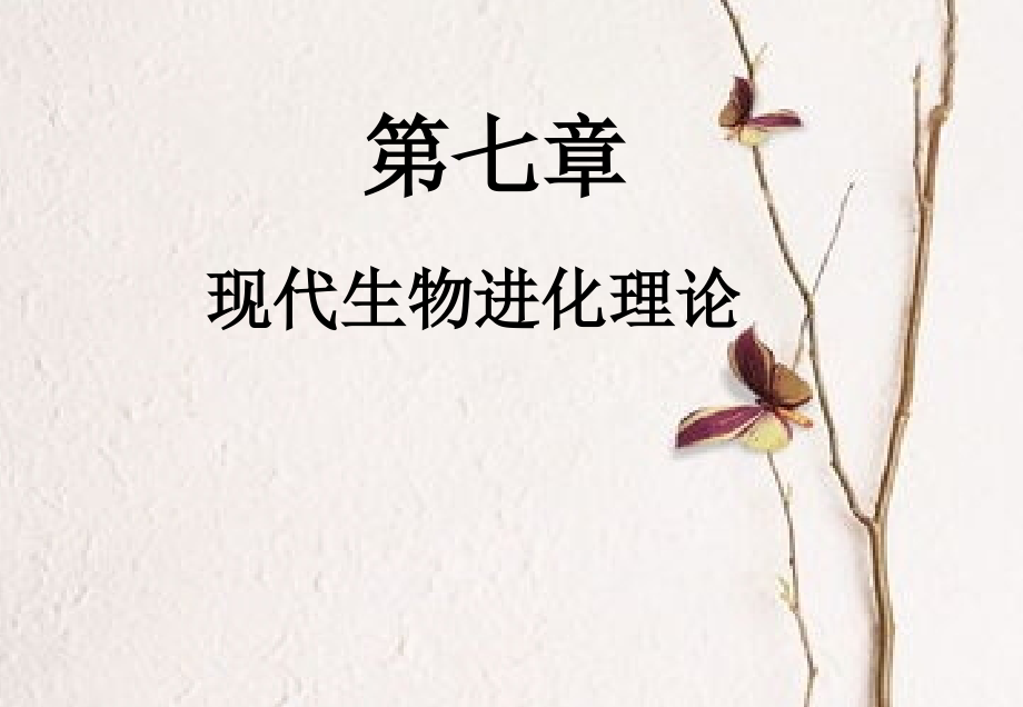 现代生物进化理论一轮复习总结课件.ppt_第1页