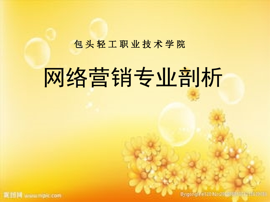 市场营销(网络营销方向)专业剖析报告.ppt_第1页