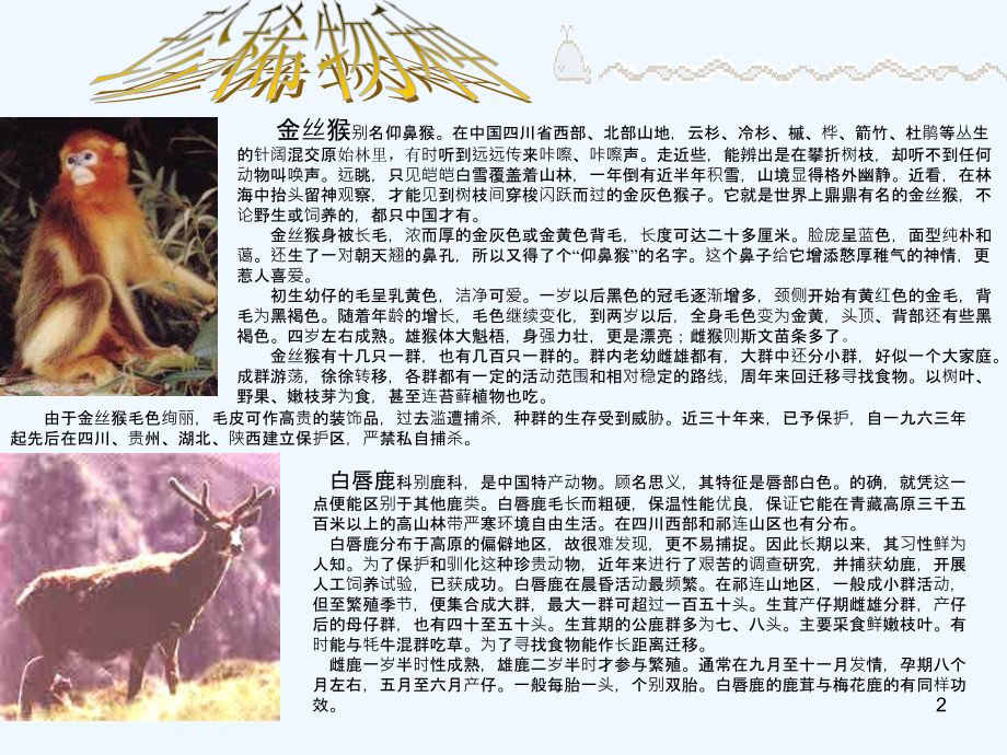 保护生物圈-PPT.ppt_第2页