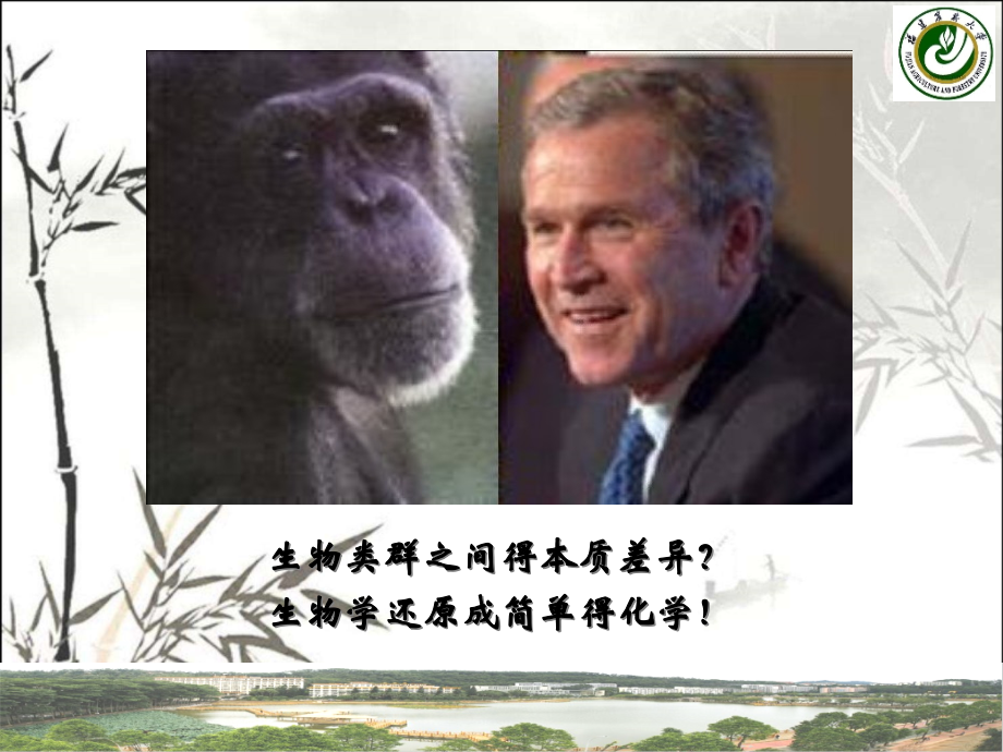 第二章生物大分子及其相互作用.pptx_第2页