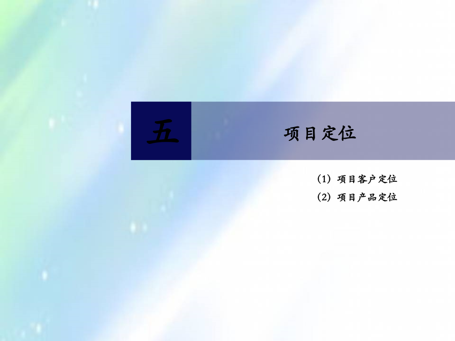 南京河西金茂府策划定位报告.ppt_第2页