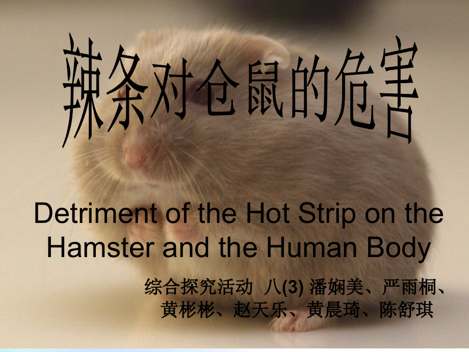 辣条对仓鼠的危害.ppt_第1页