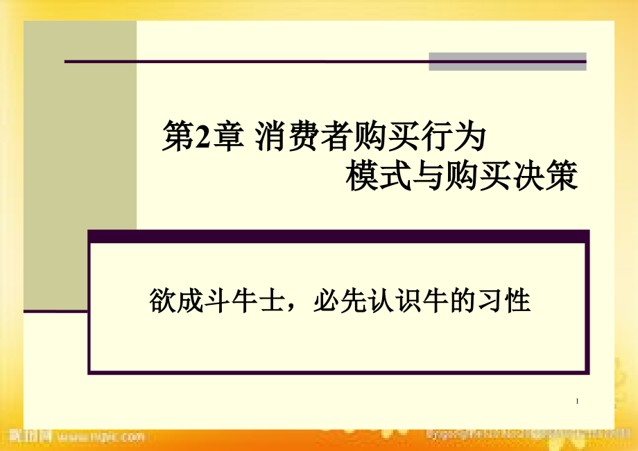 消费者购买行为模式与购买决策.ppt_第1页