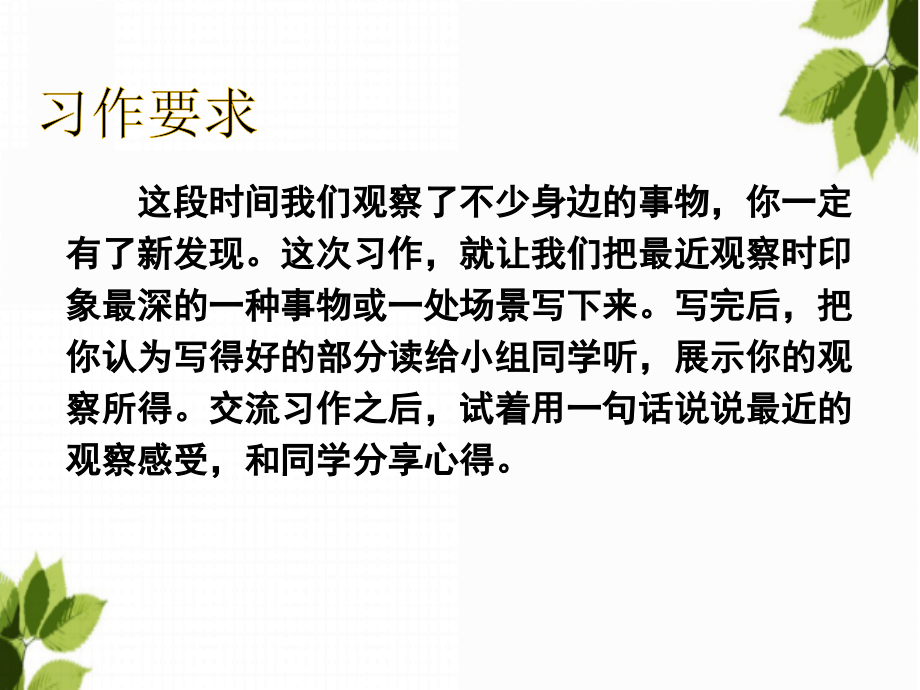 人教版三年级语文上册第五单元习作例文-PPT.ppt_第2页