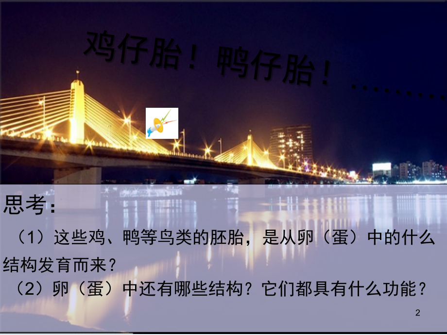 人教版鸟的生殖和发育第1课时.ppt_第2页