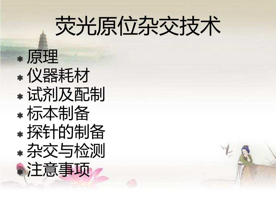 FISH基本原理-PPT.ppt_第1页