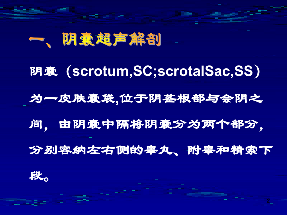 阴囊疾病的超声诊断.ppt_第2页