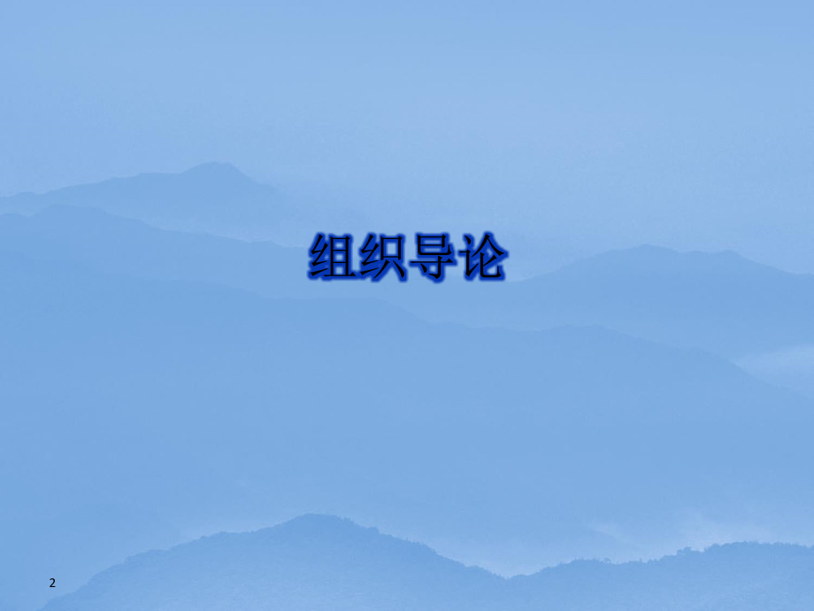 组织理论与设计.ppt_第2页