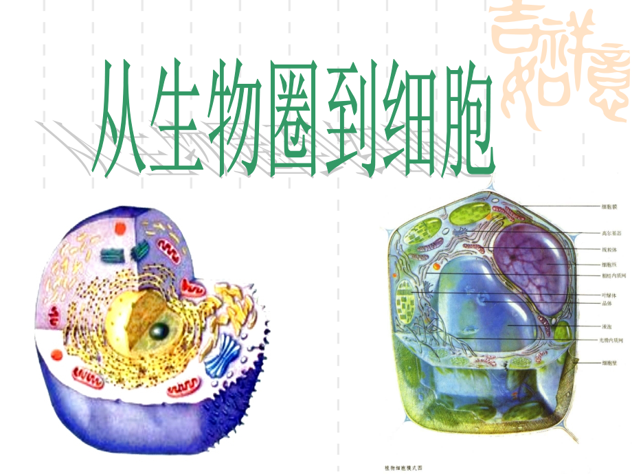 从生物圈到细胞课件.ppt_第1页