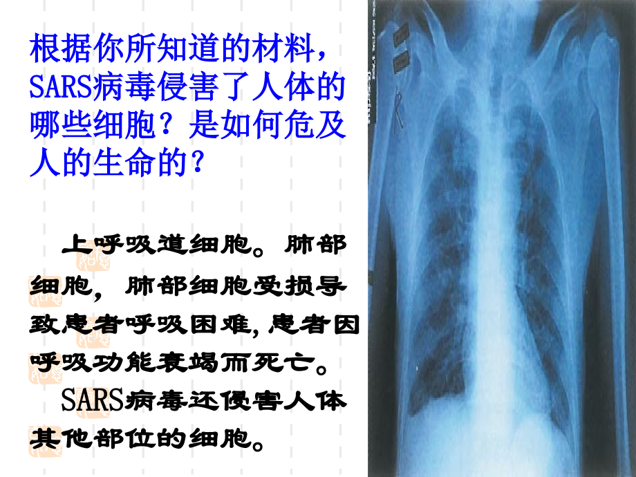 从生物圈到细胞课件.ppt_第2页